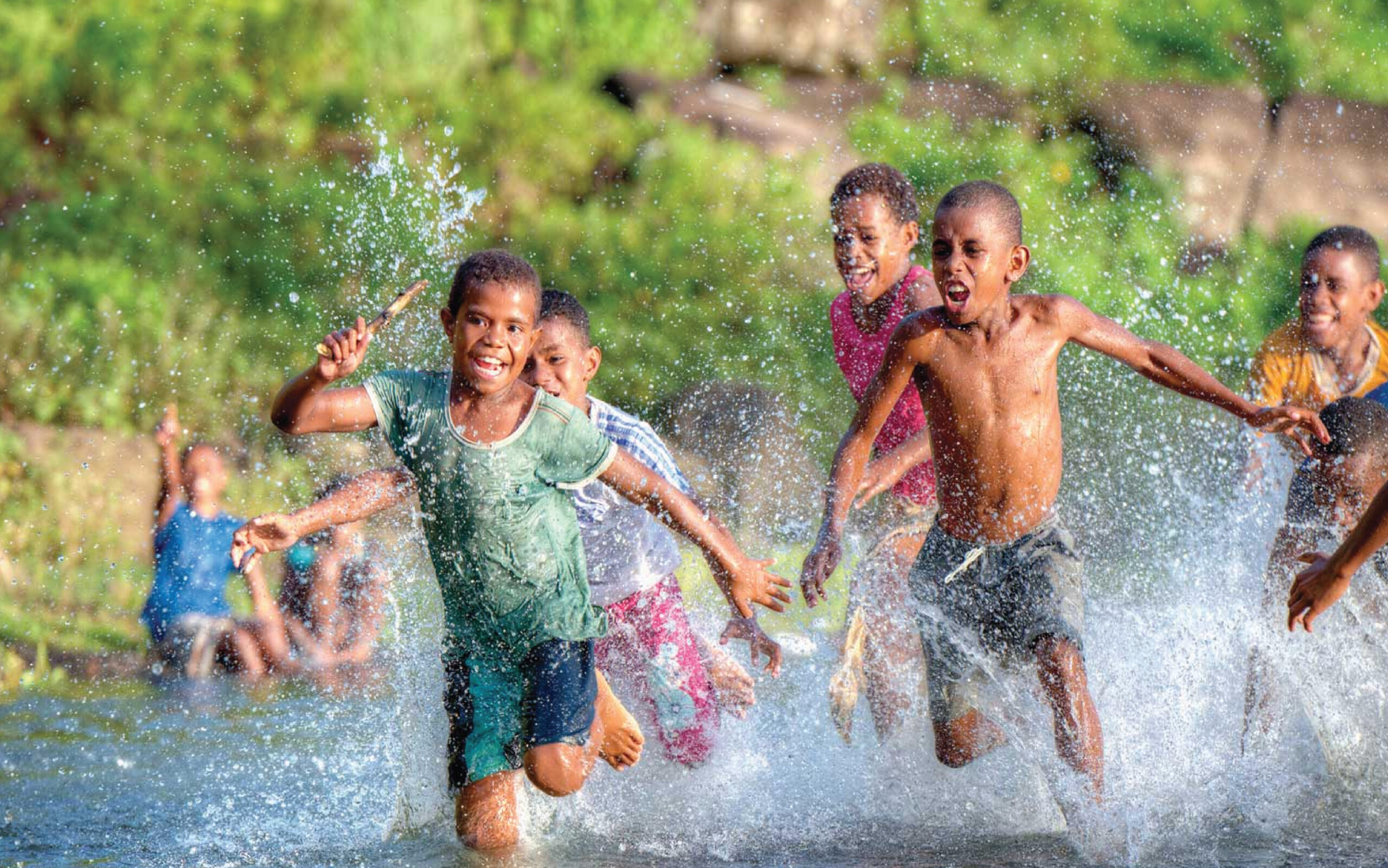 Image: Fiji Pocket Guide